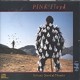 Pink Floyd - Delicate Sound of Thunder