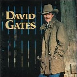 David Gates - Love Is Always Seventeen