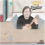 David Bromberg - Out of the Blues: Best of David Bromberg