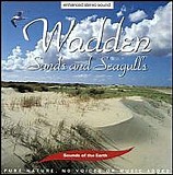 Various artists - Sounds of Earth: Wadden - Sands & Seagulls