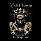 Infected Mushroom - I'm the Supervisor