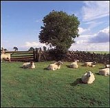 The KLF - Chill Out