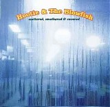 Hootie & the Blowfish - Scattered, Smothered and Covered