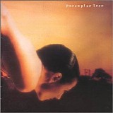 Porcupine Tree - On the Sunday of Life