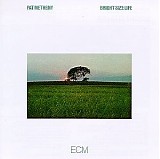 Pat Metheny - Bright Size Life