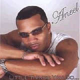 Aneel - Little Things You Do