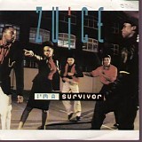 Zuice - I'm a Survivor