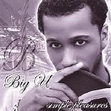 Big U - Simple Pleasures