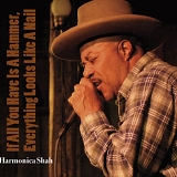 Harmonica Shah - If All You Have Is A Hammer