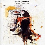 Peter Doherty - Grace/Wastelands