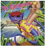 The Rippingtons/Russ Freeman - Life in the Tropics