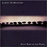 James McMurtry - Saint Mary Of The Woods