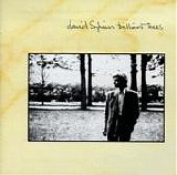 David Sylvian - Brilliant Trees