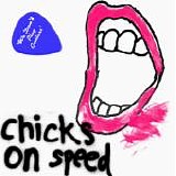 Chicks On Speed - We Don't Play Guitars