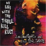 My Life With The Thrill Kill Kult - I See Good Spirits And I See Bad Spirits