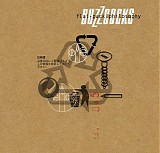 Buzzcocks - Flat Pack Philosophy