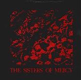 The Sisters Of Mercy - No Time To Cry