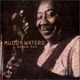 Muddy Waters - Honey Bee