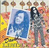 David Lindley - Mr Dave