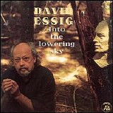 David Essig - Into The Lowering Sky