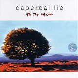 Capercaillie - To The Moon