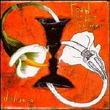 Toad the Wet Sprocket - Dulcinea