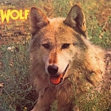 Way's Darryl Wolf - Canis lupus
