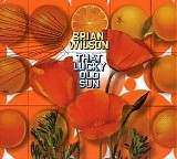 Brian Wilson - That Lucky Old Sun