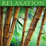 Dan Gibson's Soltudes - Relaxation