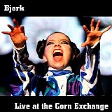 BjÃ¶rk - Live @ Corn Exchange