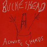 Buckethead - Acoustic Shards