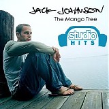 Jack Johnson - The Mango Tree