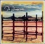 Gin Blossoms - Outside Looking In - The Best of the Gin Blossoms