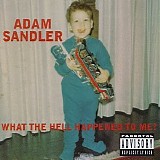 Adam Sandler - What The Hell Happened to Me?