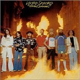 Lynyrd Skynyrd - Street Survivors