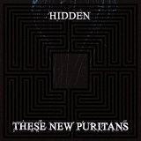 These New Puritans - Hidden