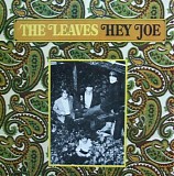 The Leaves - Hey Joe