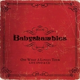 Babyshambles - Oh ! What A Lovely tour