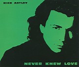 Rick Astley - Never Knew Love