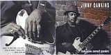 Jimmy Dawkins - Blues and Pain