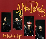 4 Non Blondes - What's Up?