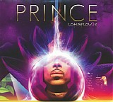 Prince - Lotusflow3r