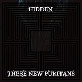 These New Puritans - Hidden