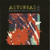 Asturias - In Search of the Soul Trees