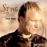 Sting - Dessert Rose