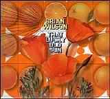 Brian Wilson - That Lucky Old Sun