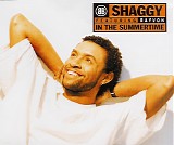 Shaggy - In The Summertime