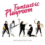 New Young Pony Club - Fantastic Playroom
