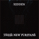 These New Puritans - Hidden