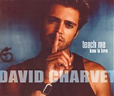 David Charvet - Teach Me How To Love